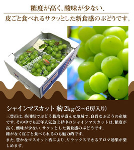 【先行予約】シャインマスカット 約2kg フルーツ ふるーつ 果物 くだもの 三豊市【配送不可地域：北海道・沖縄県・離島】_M02-0071 シャインマスカット