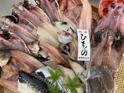 【チルドでお届け】朝干しひものセット10種以上！ (a30-176)