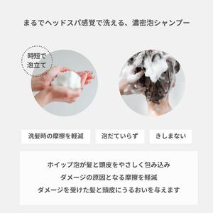 【定期便】半年間毎月お届け！【富士山の天然水配合】 スカルプケアシャンプー 1本 300ml