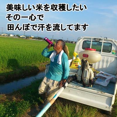 ふるさと納税 燕市 【令和7年産新米 先行予約】食べ比べ甲「いのちの壱・つばめ返し」各2kg |  | 03