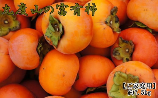 ≪柿の名産地≫九度山の富有柿約7.5kgご家庭用★2025年11月上旬頃より順次発送【TM1】