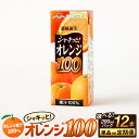 【ふるさと納税】オレンジ100 200ml×12本 【選べる配送回数 単品 3か月定期便 6か月定期便】 定期便 定期配送 飲物 ジュース オレンジジュース オレンジ 果汁100％ 長期間保存 常温 らくのうマザーズ 九州 熊本県 送料無料