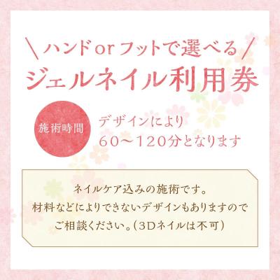 ふるさと納税 碧南市 ジェルネイル ハンドorフット　利用券(1名様1回分)H178-011 |  | 01