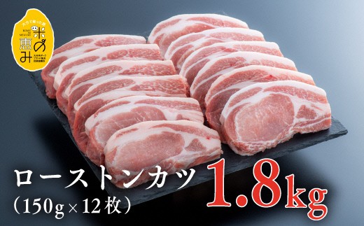 豚ロース肉トンカツ用 1.8kg(150g×12枚)【スピード発送】中川さんちの米の恵み豚 | 豚ロース肉 豚肉ロース 豚ロース肉カツ 豚ロース肉丼 豚ロース肉ステーキ ロースカツ こだわり豚ロース ぶたろーすにく とんかつ ろーす 豚ロースとんかつ 豊後高田市