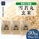 【ふるさと納税】＜令和6年産米＞ 大蔵村 雪若丸 ＜玄米＞ 30kg 定期便（10kg×3回お届け）