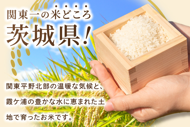 米 あきたこまち 精米 10kg 令和7年産 茨城県産 お米 こめ コメ ごはん 白米 アキタコマチ 茨城県産米 単一米 単一原料米 安心 安全 送料無料 国産 人気 数量限定 高評価（85-30）