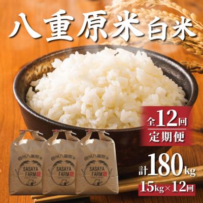 ふるさと納税 東御市 令和8年新米受付【12回定期便】八重原米15kg 白米※2026年10月以降順次発送|笹屋農園
