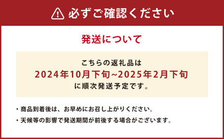 みかん 5kg サイズ2L～2S 蜜柑 ミカン フルーツ 果物 くだもの 柑橘 熊本産 九州産【2024年10月下旬～2025年2月下旬発送開始】