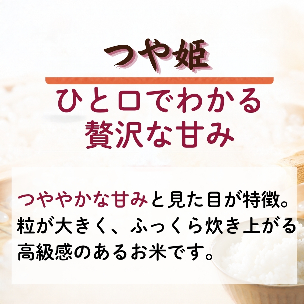 【先行予約】【令和8年産】【新米】【令和8年10月中旬～下