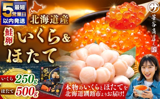 【5営業日以内発送】通常発送 笹谷商店 新物 北海道産 いくら醤油漬け250g＆ほたて貝柱500g  お刺身 国産 イクラ イクラ醤油漬け 鮭いくら 鮭卵 ほたて貝柱 帆立 ホタテ ほたて 海鮮丼 詰め合わせ ギフト 化粧箱 海鮮 魚介 冷凍 グルメ 北海道 釧路市