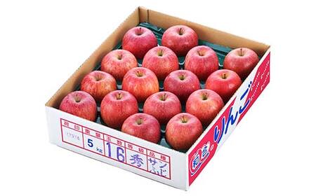 【先行予約 2024年度発送】♪フルーツ王国山形♪ サンふじりんご 秀品 約5kg FSY-1148