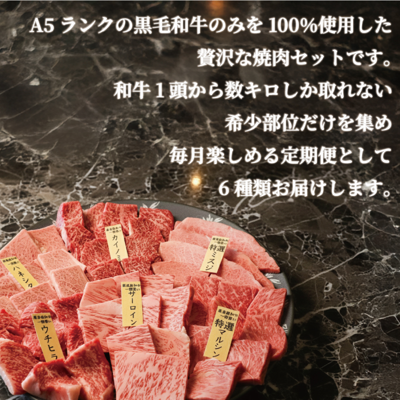 A5ランク黒毛和牛 3回定期便 希少部位 計6種類 500gずつ×3回 （サーロイン カイノミ ハネシタ マルシン ミスジ ウチヒラ ） 和牛 焼肉 肉 お肉 人気 おすすめ ふるさと納税 京都 八幡