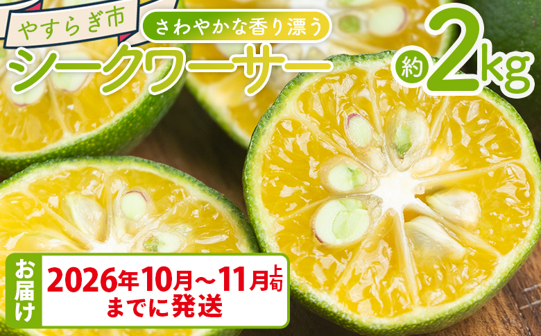 さわやかな香り漂うシークワーサー 2kg - 国産 シークヮーサー 果物 フルーツ 果実 青果 柑橘 ヒラミレモン ジュース 酒 やすらぎ市 高知県 香南市 常温 2026年10月～11月上旬までに発送 yr-0107
