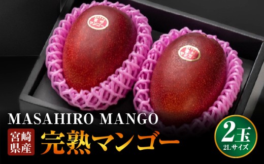 《2026年発送先行予約》【数量・期間限定】【農家直送】MASAHIRO MANGO 宮崎県産完熟マンゴー 2Lサイズ×2玉_M380-001-01