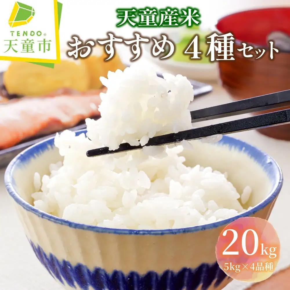 天童産 米 おすすめ 4種 セット 20kg [ 令和8年産 ] つや姫 雪若丸 はえぬき コシヒカリ