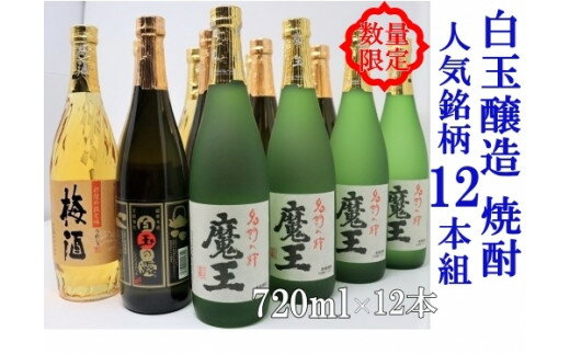 【ふるさと納税】No.6008-2　白玉醸造　魔王4本入り　人気銘柄12本セット（4合瓶）