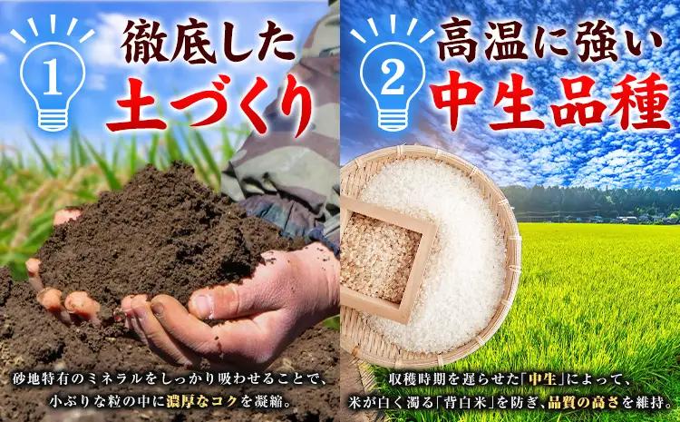 米 ヒノヒカリ 10kg JA徳島県脇町営農経済センター  米 こめ 