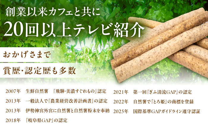自然薯の味噌漬け・しょう油漬けセット 160g　（80g×2）/ 自然薯 漬けもの 味噌漬け 醤油漬け / 恵那市 / 水戸屋 [AUFZ013]