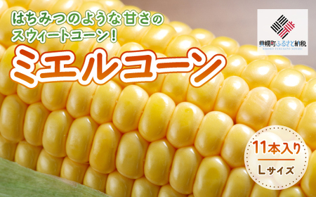 [先行受付]2025年産 スウィートコーン!「はちみつのような甘さのミエルコーン」11本【配送不可地域：離島】 【 ふるさと納税 人気 おすすめ ランキング とうもろこし コーン 甘い おいしい スイートコーン スウィートコーン 北海道 美幌町 送料無料 】 BHRG004