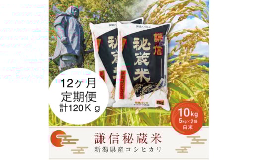 令和7年産 定期便12ヶ月連続発送（10kg×12回分） 10kg 謙信秘蔵米  米 新潟県産 コシヒカリ  精白米 お米  こめ コメ おこめ おすすめ こしひかり 新潟 にいがた 新潟米 上越 上越産 上越米 ふるさと納税 定期便 上杉謙信 人気