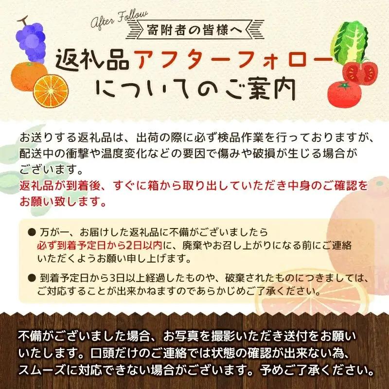 【2027年2月出荷分】和歌山産ミニトマト「アイコトマト」約2kg（M・Lサイズおまかせ）※2027年2月上旬～2月下旬ごろ順次発送 ※北海道・沖縄・離島地域への配送不可【tec401-aik-2-f