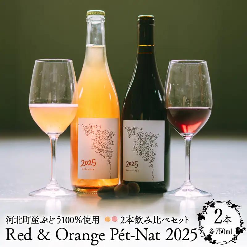 ワイン 2025 赤オレンジ 2本飲み比べセット 各750ml ワイン ka019-316j-2025