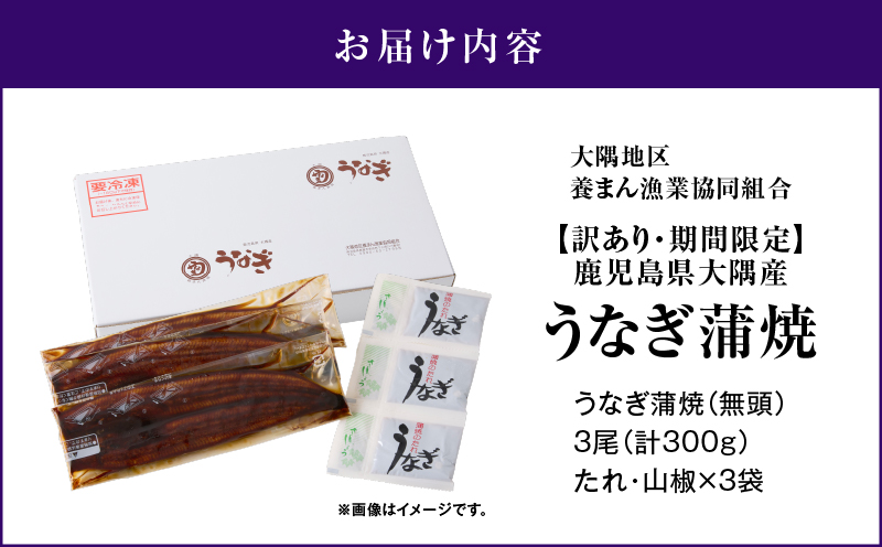 【訳あり】【数量限定】鹿児島県大隅産うなぎ蒲焼き3尾セット（計300g）　KN007-003-01