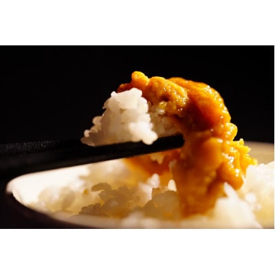 三陸小本浜産塩ウニ100g【配送不可地域：離島】【1427512】