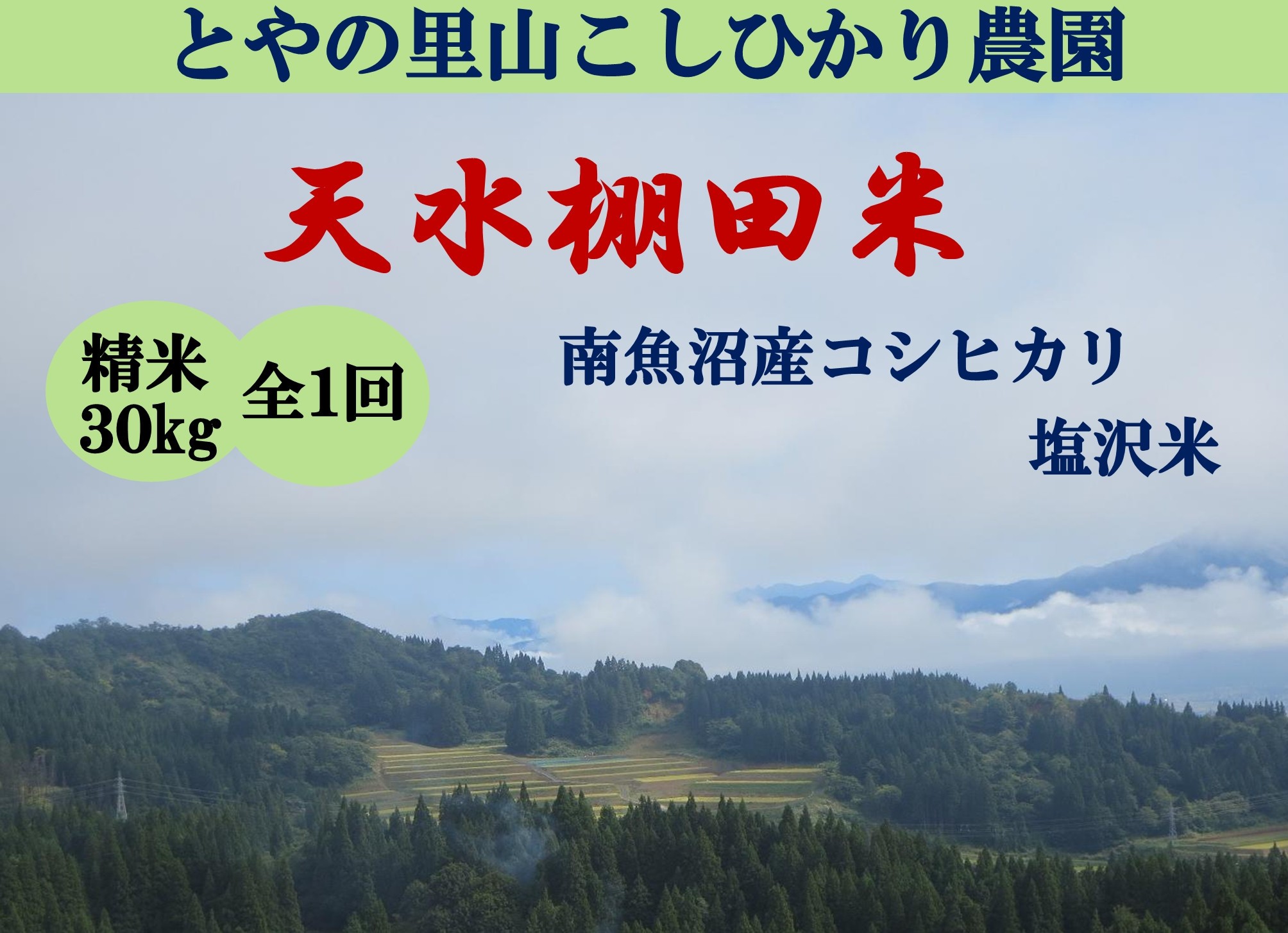 
                  令和8年産新米予約【天水棚田米】特別栽培米雪蔵熟成塩沢産コシヒカリ精米30kg1回「とやの里山継承プロジェクト」【銘柄米 精米 こしひかり コシヒカリ 魚沼産 新潟米 お米 米 こめ】【2026年10月下旬より順次発送予定】
                