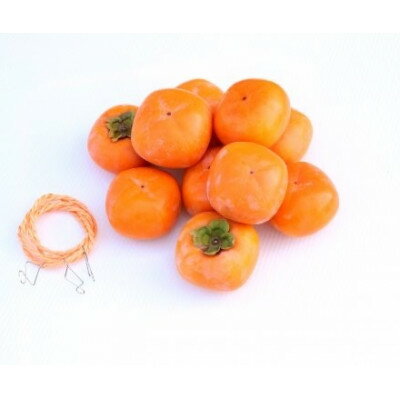 【ふるさと納税】【先行予約】干し柿セット 約5kg【2026年10月配送予定】柳フルーツ園【1457269】