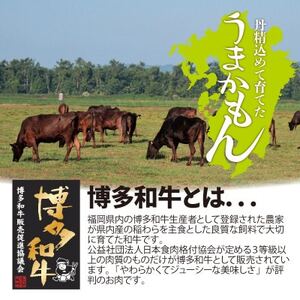 博多和牛生ハンバーグ150g×12パック　合計1.8kg(大牟田市)【配送不可地域：離島】【1551844】