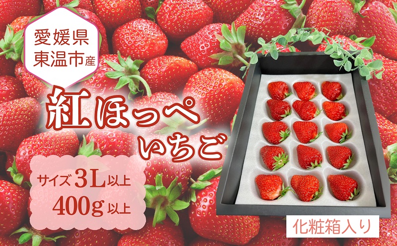 愛媛県東温市産いちご【紅ほっぺ 】サイズ3L以上 400g以上【大粒 化粧箱入り 甘い フルーツ ケーキ 旬 品種 高級 イチゴ 苺】