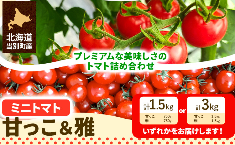 
            [1-268]　北海道当別町産化学農薬不使用ミニトマト：甘っ子 雅 1.5kg 3kg st-p
          