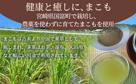 ＜まこも蒸し用 発酵まこもパウダー100g＞ 翌月末迄に順次出荷 【内容量 100g しっかり温活派向け デトックス まこも温活 真菰蒸し マコモ蒸し 自宅で温活 体を温める 冷え性対策 健康 真菰 