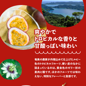 【 2025年 先行予約 】 ルビー色の トロピカルフルーツ ！ パッションフルーツ 【 贈答用 】1kg A052-005 パッション 甘酸っぱい 果肉 フルーツ 果物 南国 酸味 甘い デザート 