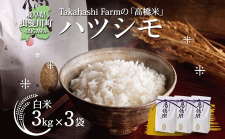 岐阜県 揖斐川町産 令和6年 ハツシモ 高橋米 計9kg 3kg 3袋 お米 精米 白米 米 ごはん ご飯 はつしも あっさり ふっくら ブランド米 大粒 幻の米 お取り寄せ 自家用 贈答用 高橋ファーム Takahashi Farm 揖斐川町