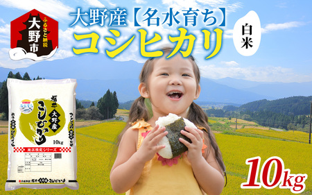 【先行予約】【令和7年産 新米】大野産コシヒカリ（白米）10kg【大野ブランド米 名水育ち】【10月より順次発送】[B-097002]