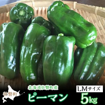 ふるさと納税 壮瞥町 <2026年7月下旬よりお届け>壮瞥町産 ピーマン 約5kg  SBTL014