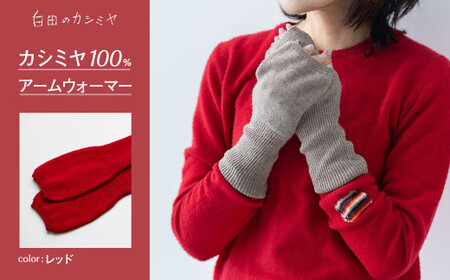 カシミヤ アームウォーマー カシミヤ （レッド）≪白田のカシミヤ≫ 