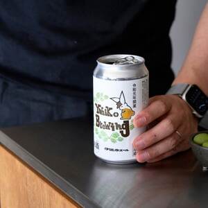 弥彦ブリューイング クラフトビール(発泡酒) 伊彌彦エール(缶・無濾過生) 355ml×12本セット_生ビール 地ビール 缶ビール 発泡酒 お酒 弥彦村初のクラフトビール_【配送不可地域：離島】【14