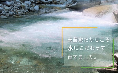 《先行予約》令和7年産【6月下旬より発送】米農家がつくる！水にこだわった朝採れアスパラガス L~2L 500g [Q1411x_25]