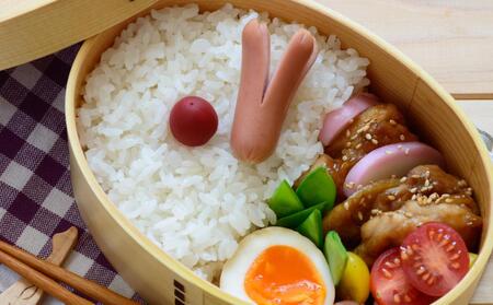 【令和7年】 10Kg 東旭川産無洗米ななつぼし ジュニア野菜ソムリエおすすめ！ |ななつぼし 北海道 限定_01155