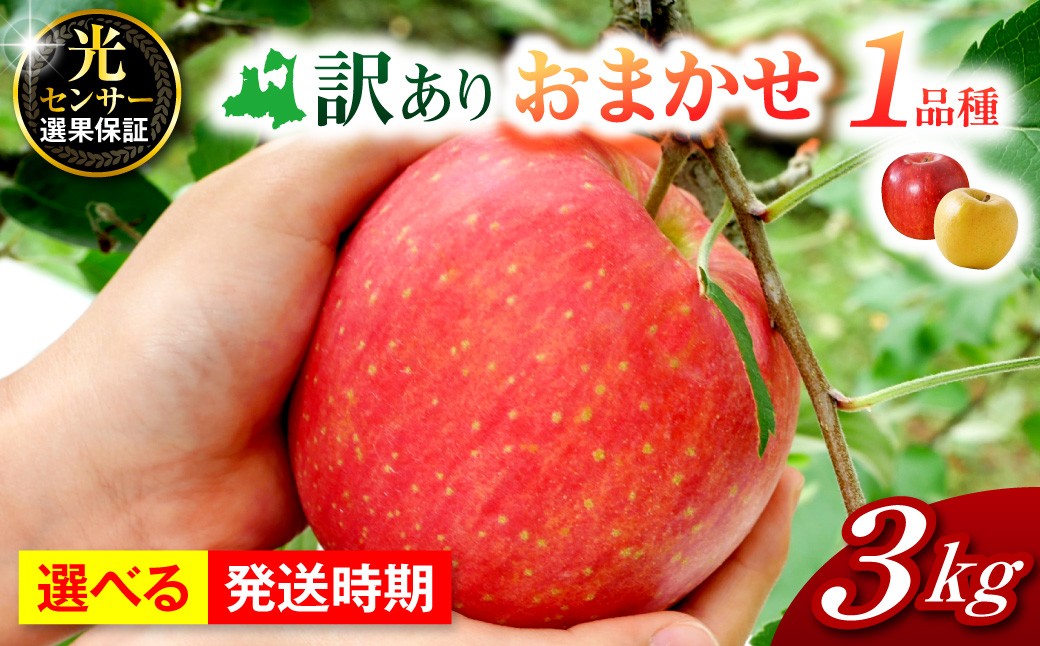 
                  【発送時期が選べる】【訳あり】 りんご 3kg 程度 【おまかせ1品種】 家庭用 青森県産
                