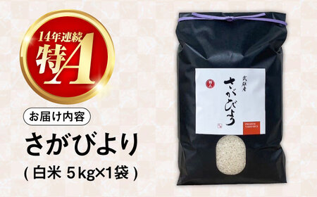 【14年連続特A評価】武雄市産 さがびより 5kg /株式会社 y’s company[UDX016]