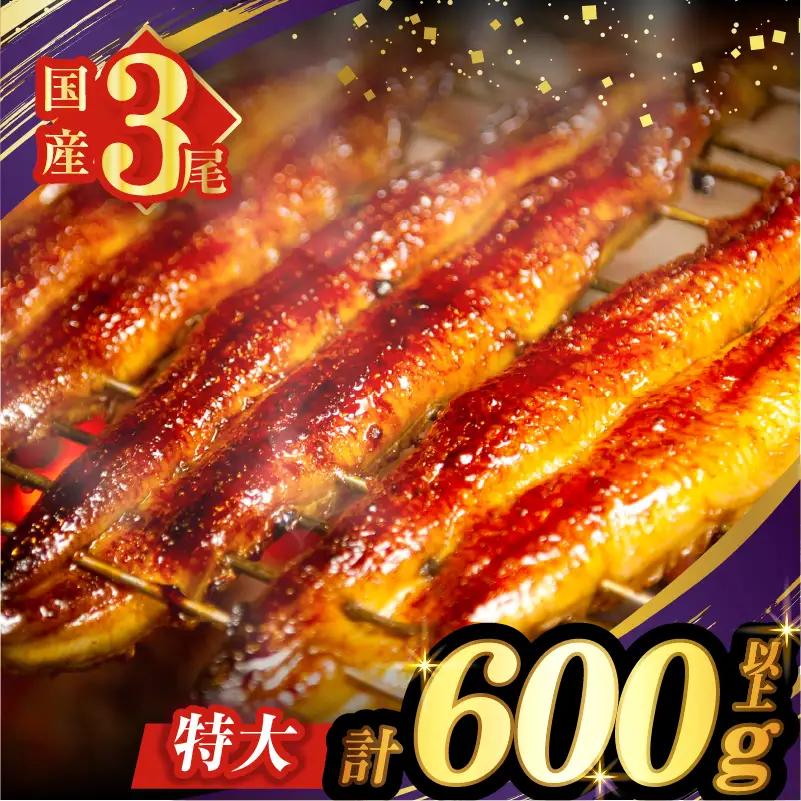 【夏の丑の日までにお届け!!】うなぎ蒲焼3尾(さんしょう・たれ付き)計600g以上 鰻 魚 魚介 加工品 国産_T026-0146-US2