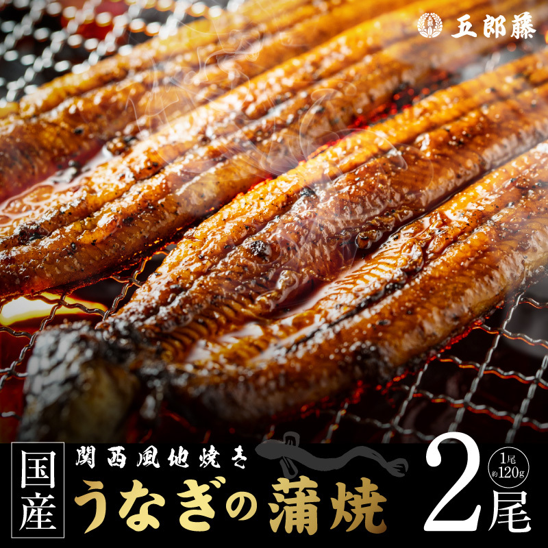老舗「五郎藤」関西風地焼き 国産有頭旨鰻 120g×2尾 計約240g前後 うなぎ ウナギ 蒲焼き 炭火 099H5077