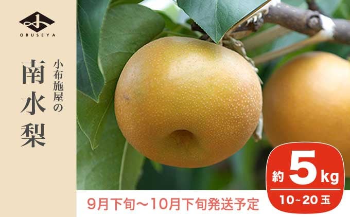 
            南水梨 約5kg 10-20玉 ［小布施屋］  なし 梨 果物 フルーツ 令和7年産 【2025年9月下旬～10月下旬発送】［A-210］
          