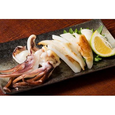 ふるさと納税 福岡市 博多製造　九州産無添加やりいか一夜干し EX07 |  | 01