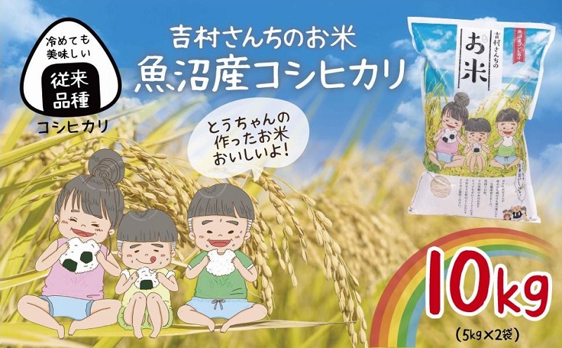 ｜従来品種｜ 魚沼産 コシヒカリ 5kg ×2袋 計10kg 米 こしひかり お米 新潟 魚沼 魚沼産 白米 送料無料 新潟県産 精米 産直 農家直送 お取り寄せ 吉村さんちのお米 新潟県 十日町市