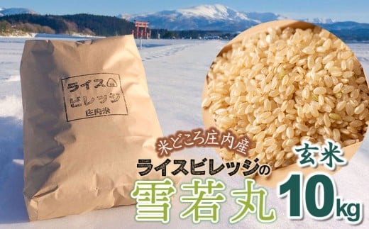 令和7年産 米どころ庄内産 ライスビレッジの雪若丸 玄米10kg　K-7117